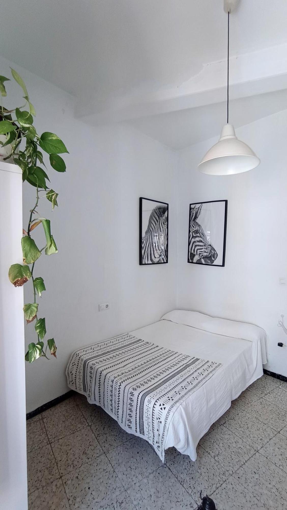 Preciosa Habitacion En Pleno Centro De Sevilla Ideal Para Hacer Turismo Y Vivir La Ciudad מראה חיצוני תמונה